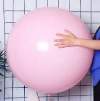 24 İNC MAKARON PEMBE BALON 2 Lİ(KAL)