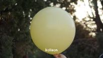 24 İNC MAKARON SARI BALON 2 Lİ(KAL)